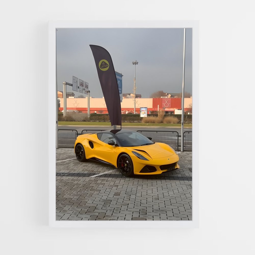 Poster Emira cœur – affiche Lotus (vue 3)